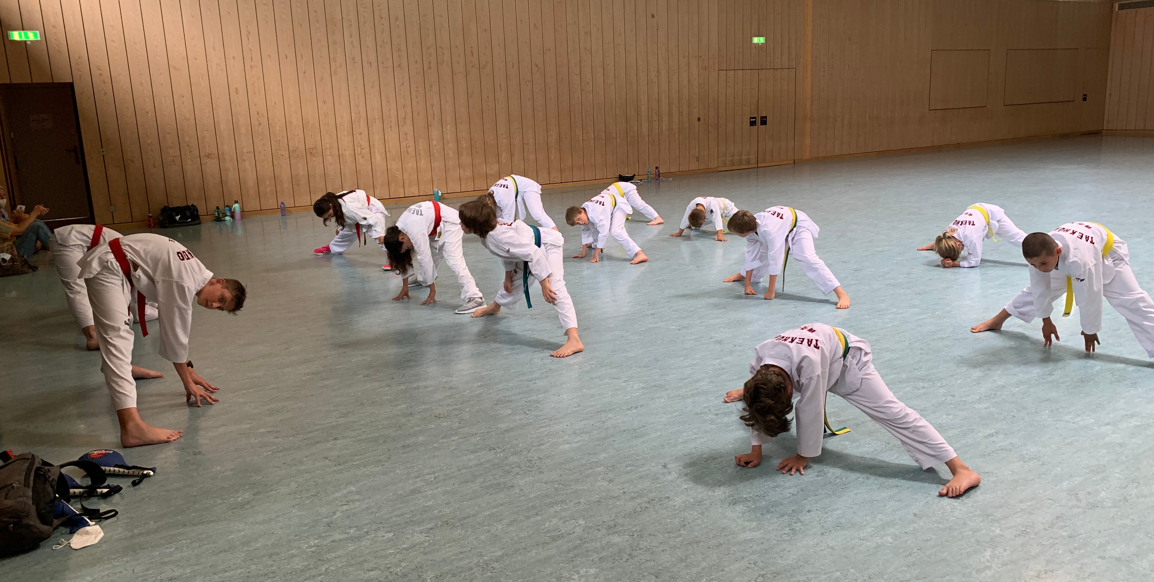 Abteilung Taekwondo Allkampf Des Tsv Pfuhl 1894 E V